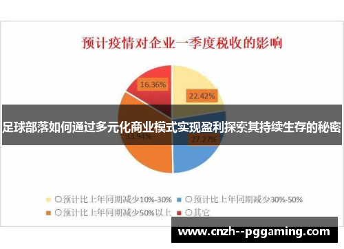 足球部落如何通过多元化商业模式实现盈利探索其持续生存的秘密